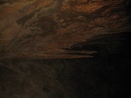 img_7144