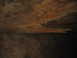 img_7145