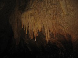 img_7147