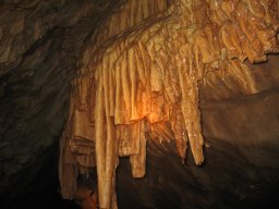 img_7153