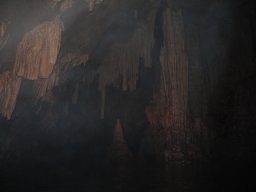 img_7156