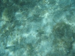 img_7180