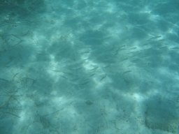 img_7181