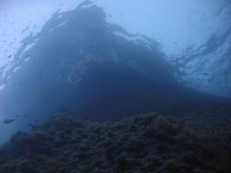 img_7234
