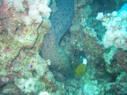 safaga_200303_030