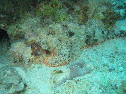 safaga_200303_081
