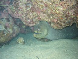safaga_200303_117